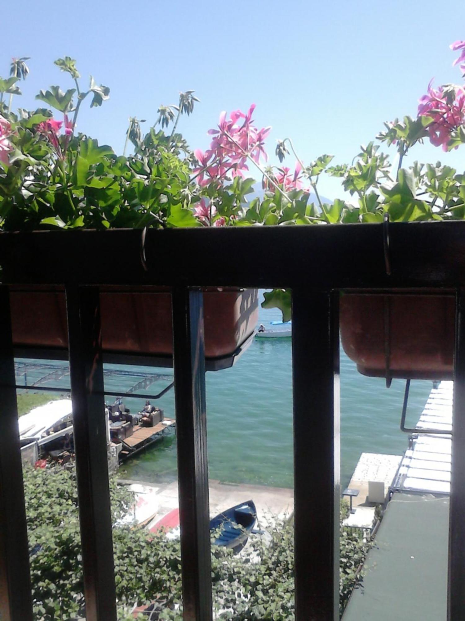 Hotel Orhidea House Ohrid Exterior foto